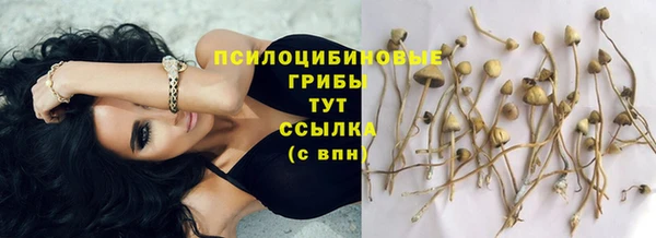 винт Армянск