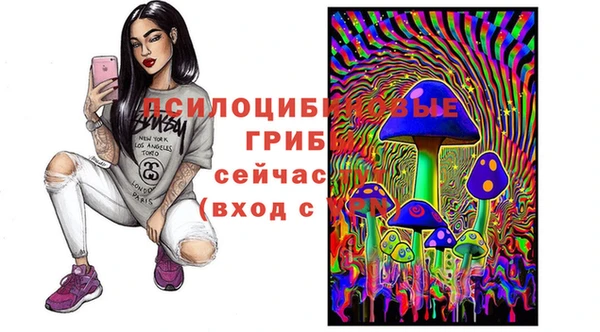 винт Армянск