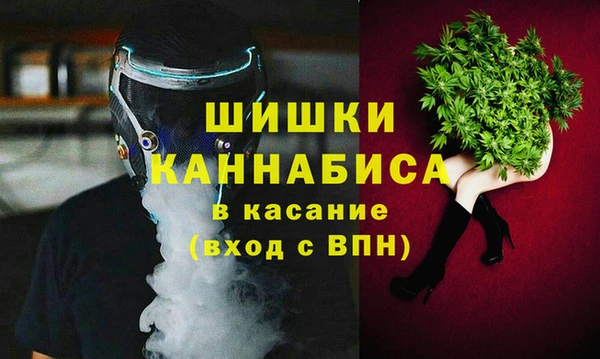 прущая мука Арсеньев